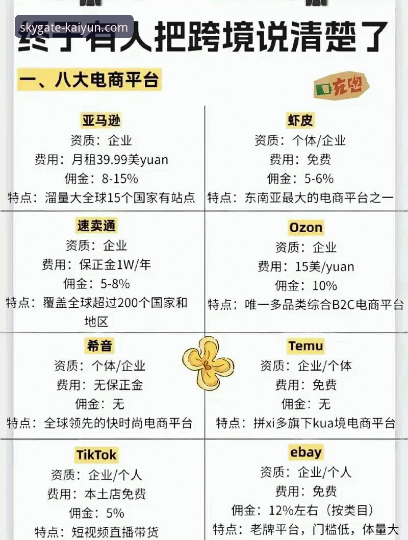 开云官方平台与主流竞品对比详解